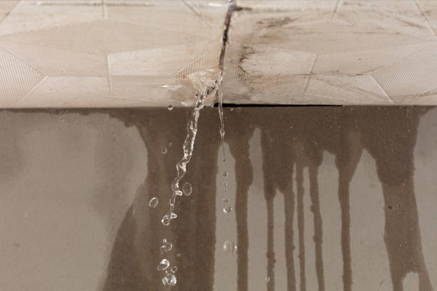 Professional Water Damage Inspection technician working in Harvard, NE